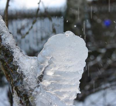 20090214_eiszapfen1.jpg