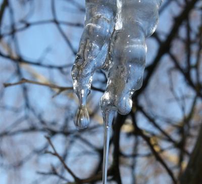 20090214_eiszapfen2.jpg