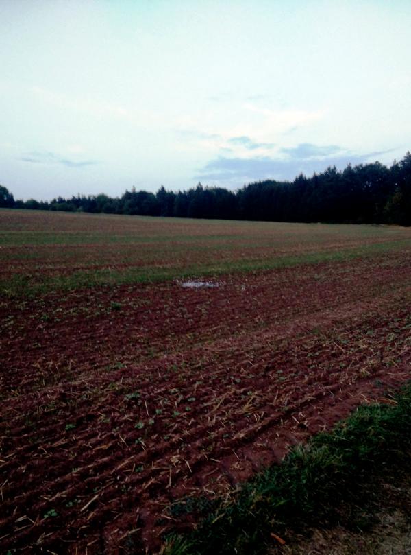 20180830_fleck_auf_feld.jpg