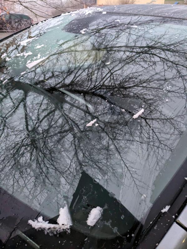20230316_scheibenenteisen.jpg