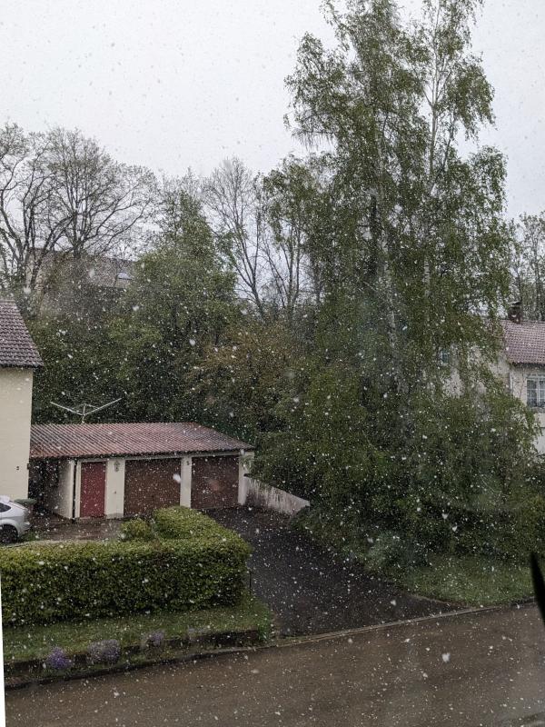20240421_schneeregen.jpg