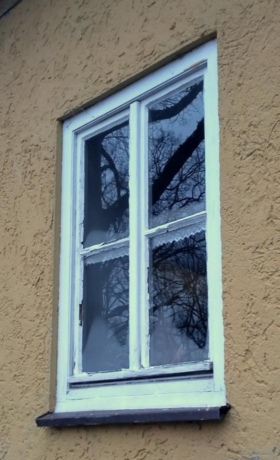 fenster_dunstberge.jpg
