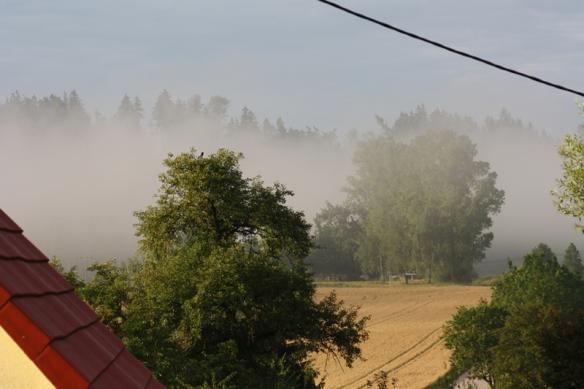 morgennebel.jpg