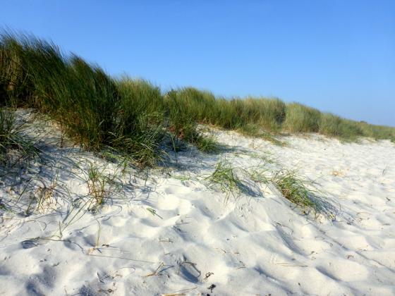 ostsee2014_duene4.jpg
