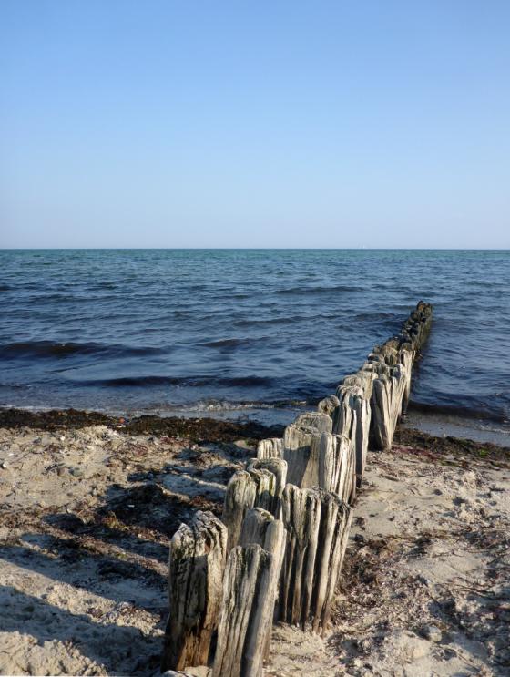 ostsee2014_ostsee.jpg