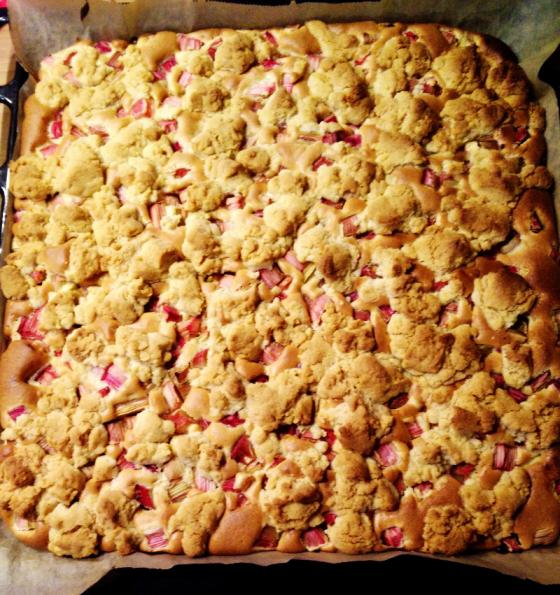 rhabarberkuchenfertig.jpg
