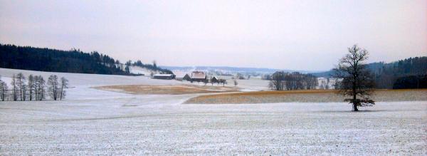 stegenhof-city_20120113.jpg