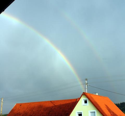 waldtann_regenboegen.jpg