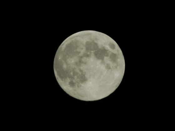 waldtann_vollmond_20130820.jpg