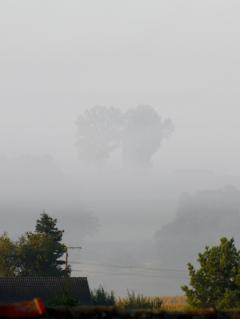 wasserturm_bergbronn_nebel.jpg